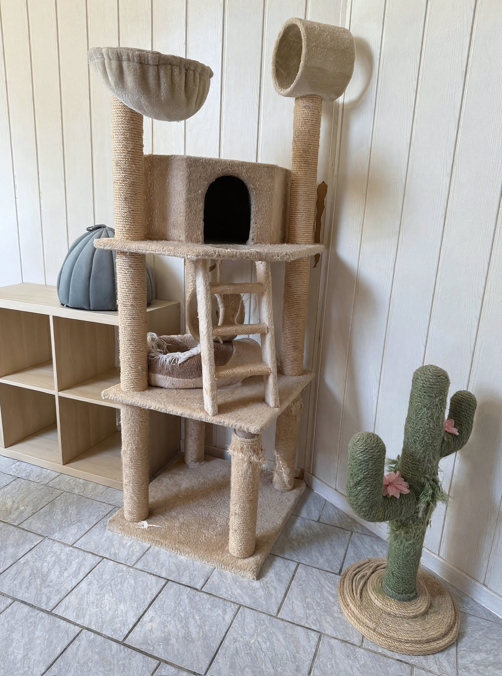 Katzenzimmer mit Rückzugsorten